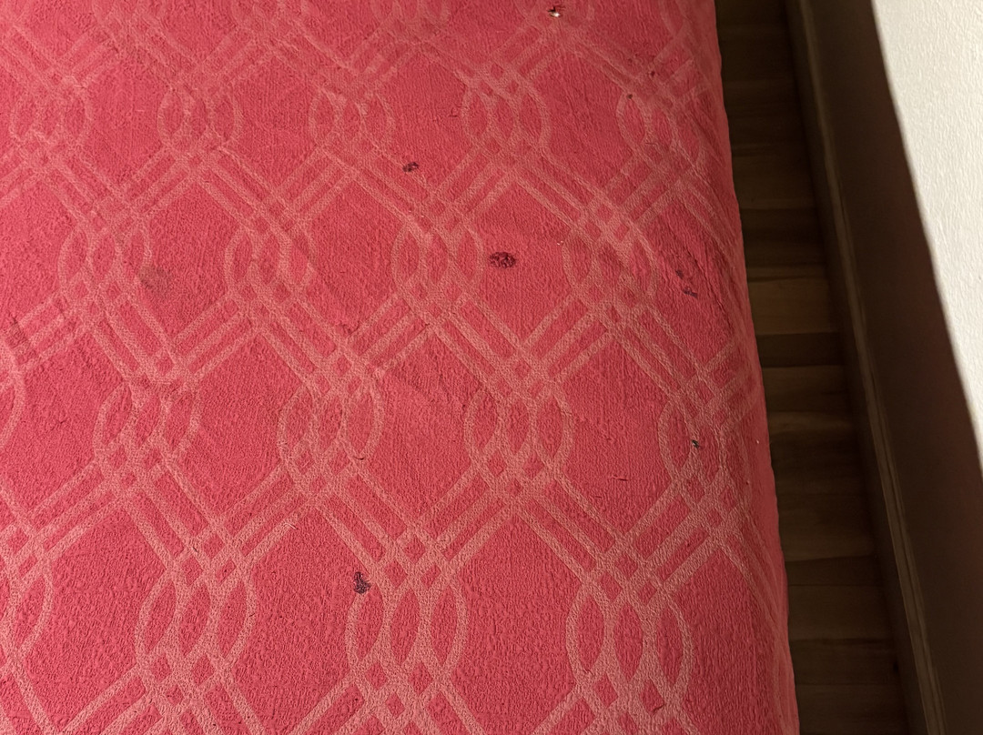 Econo Lodge East主图