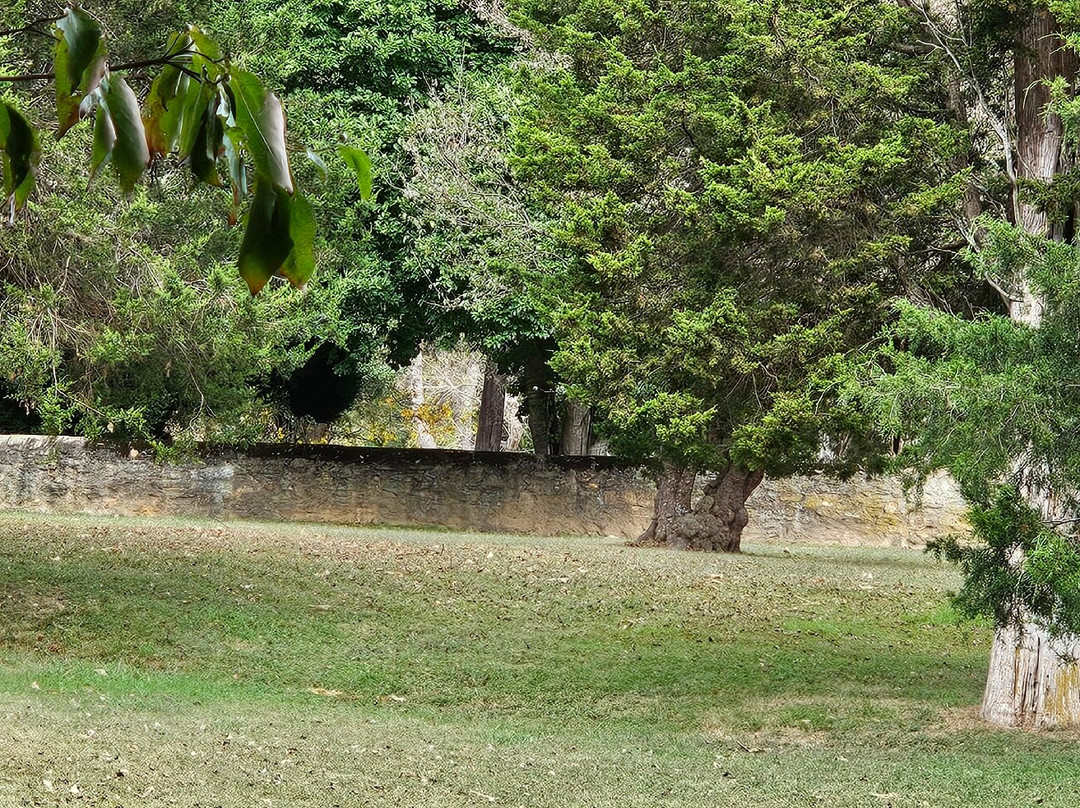 Cherry Grove-Woodbine必去景点