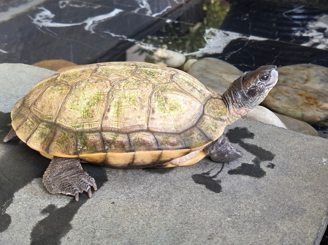 Otium Resort By The Oterra主图