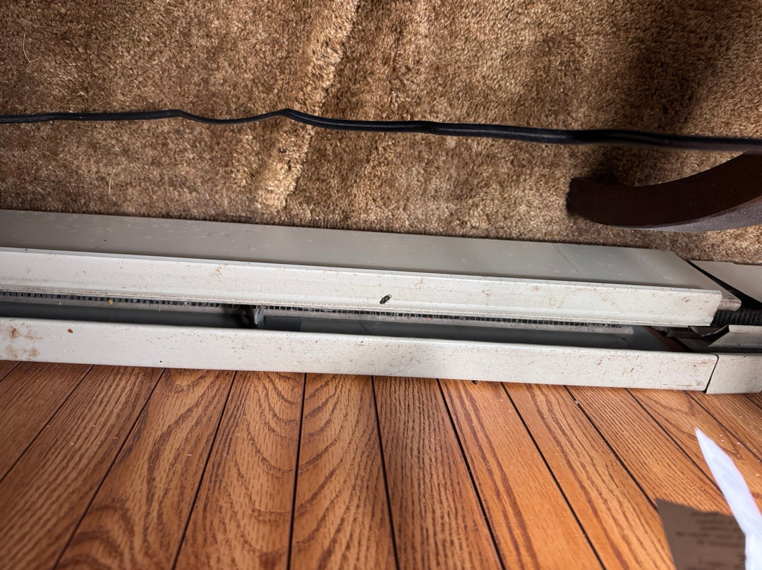 Bingham Motor Inn & Sports Complex主图