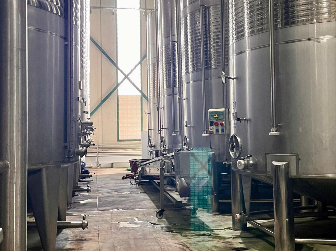 Bodegas Volver-Pinoso必去景点