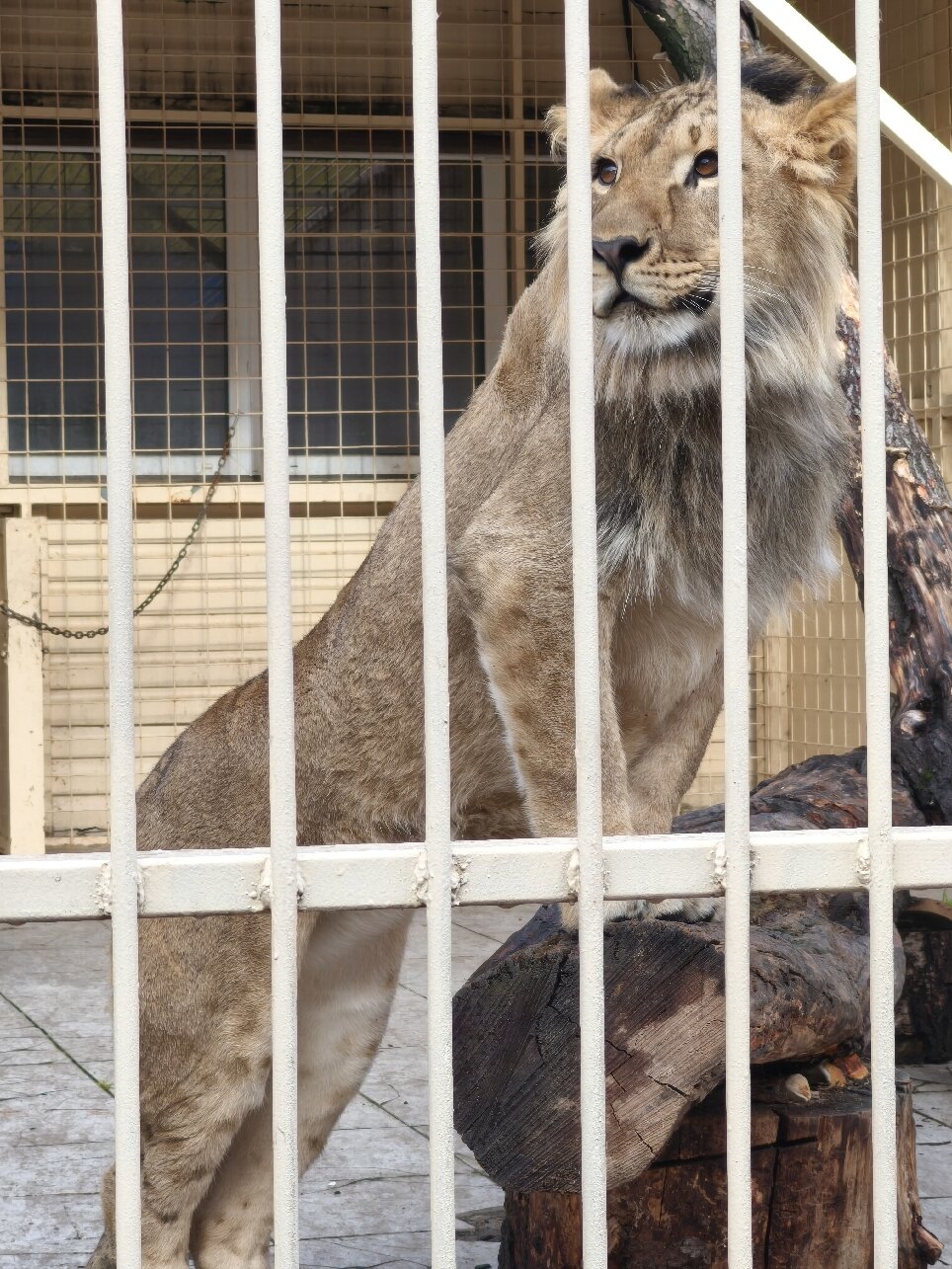 Chernyye Kamni Resort Complex-官方