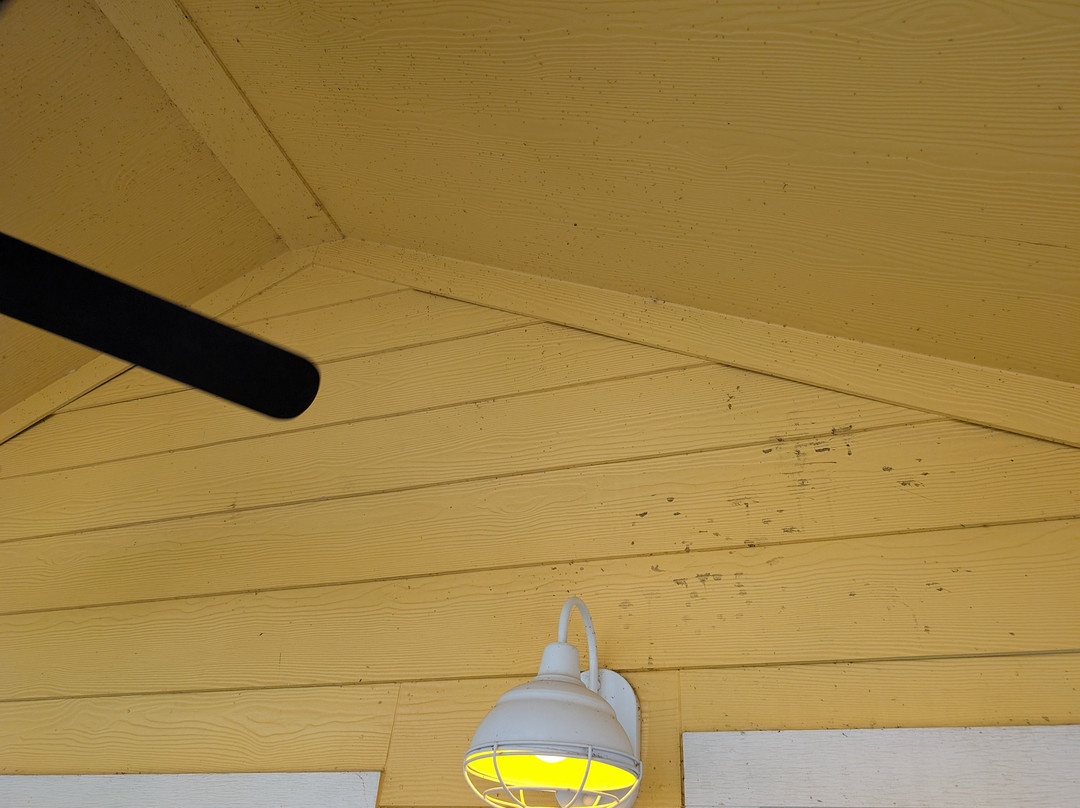 Margaritaville Lake Resort Lake Conroe主图