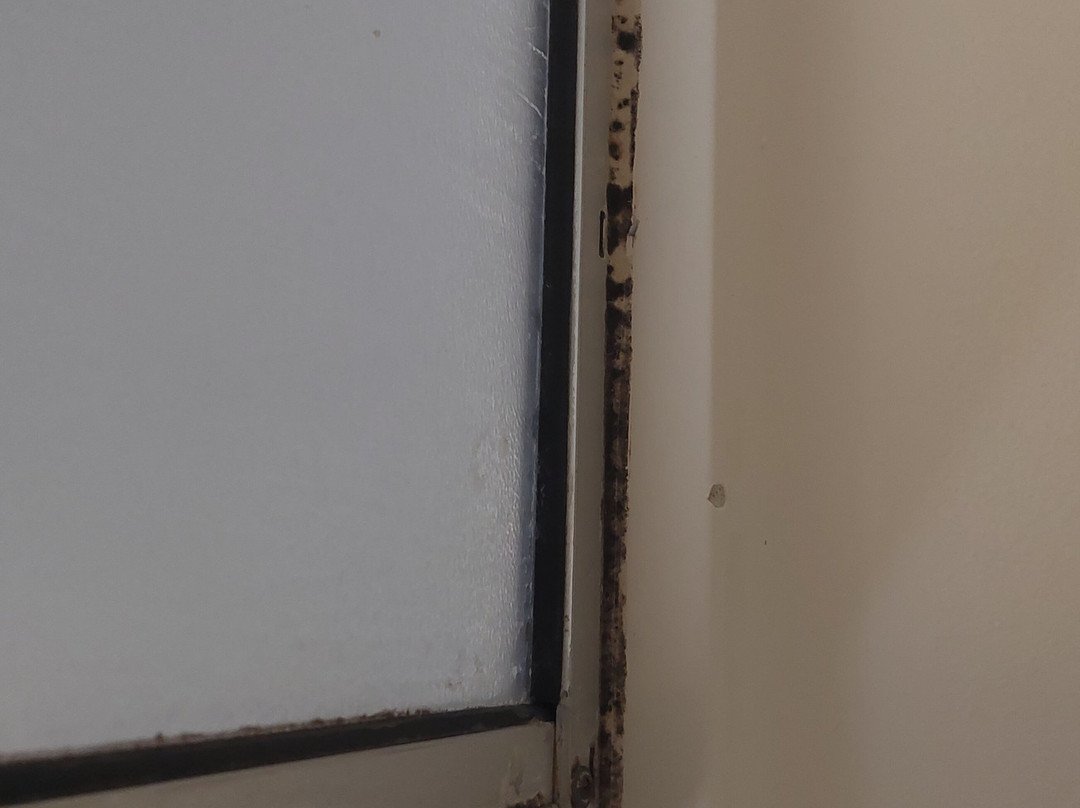 Homewood Suites by Hilton Memphis-Germantown主图