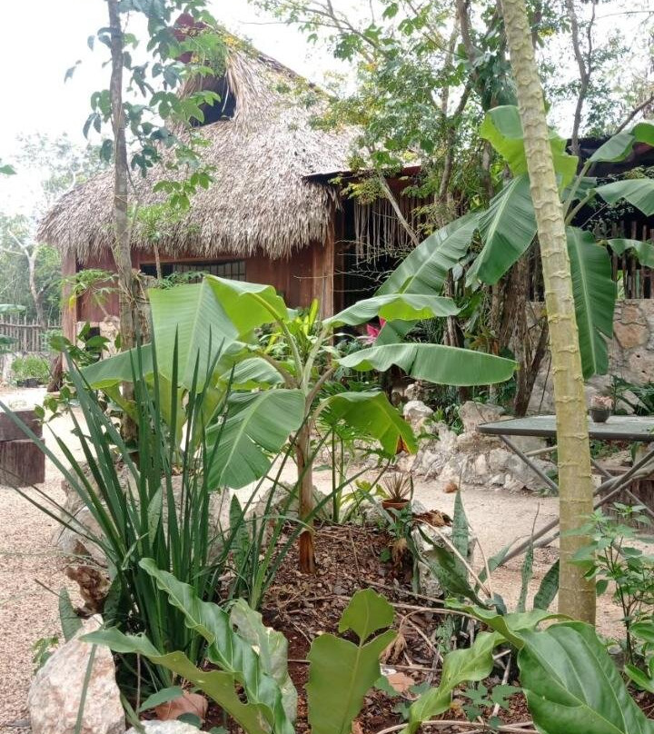 Camping Rancho El Tauro