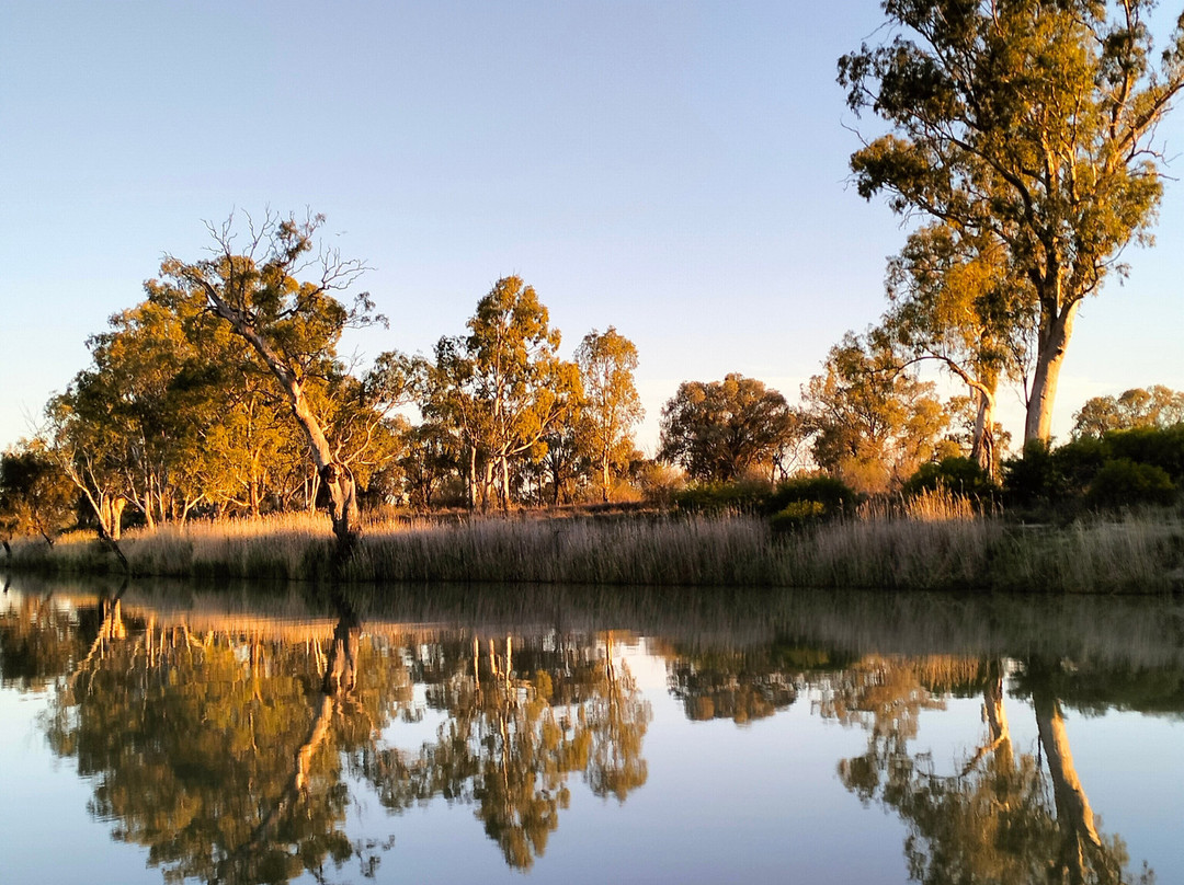 Rivergum Boat Cruises Pty Ltd-Waikerie必去景点