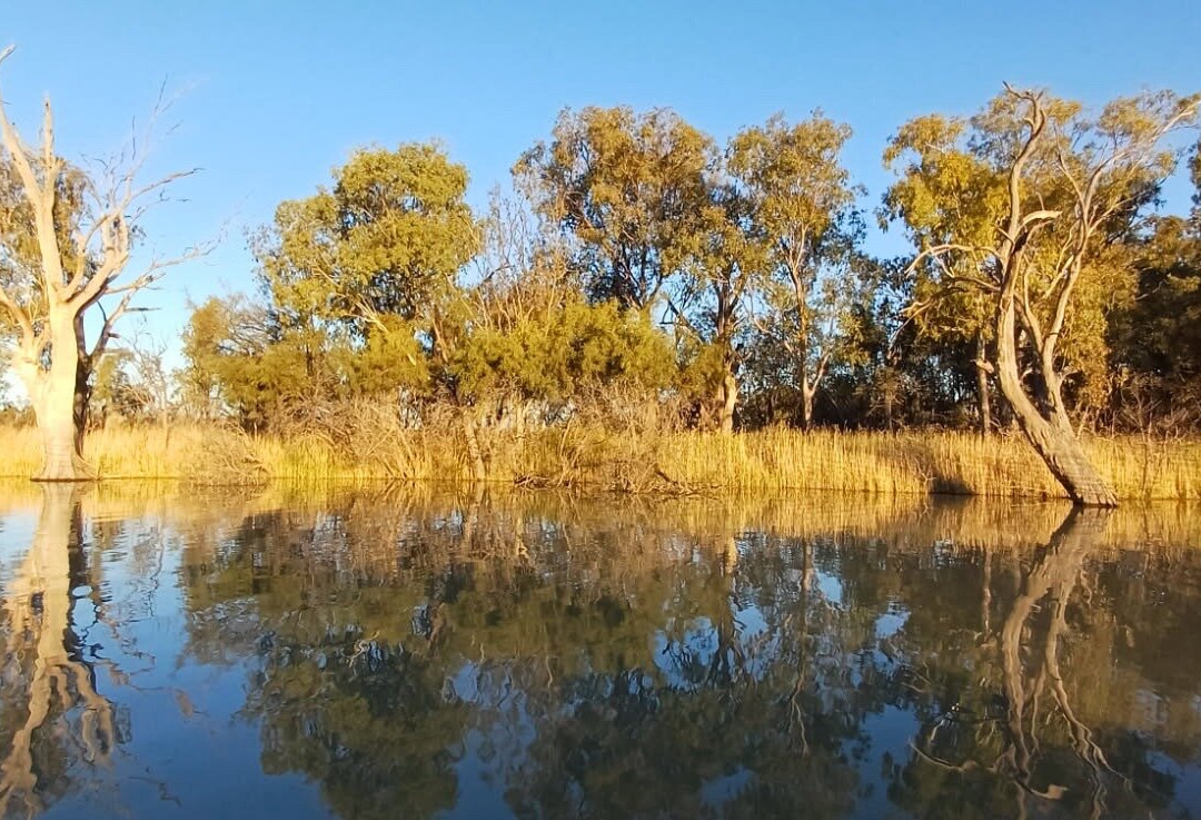 Rivergum Boat Cruises Pty Ltd-Waikerie必去景点