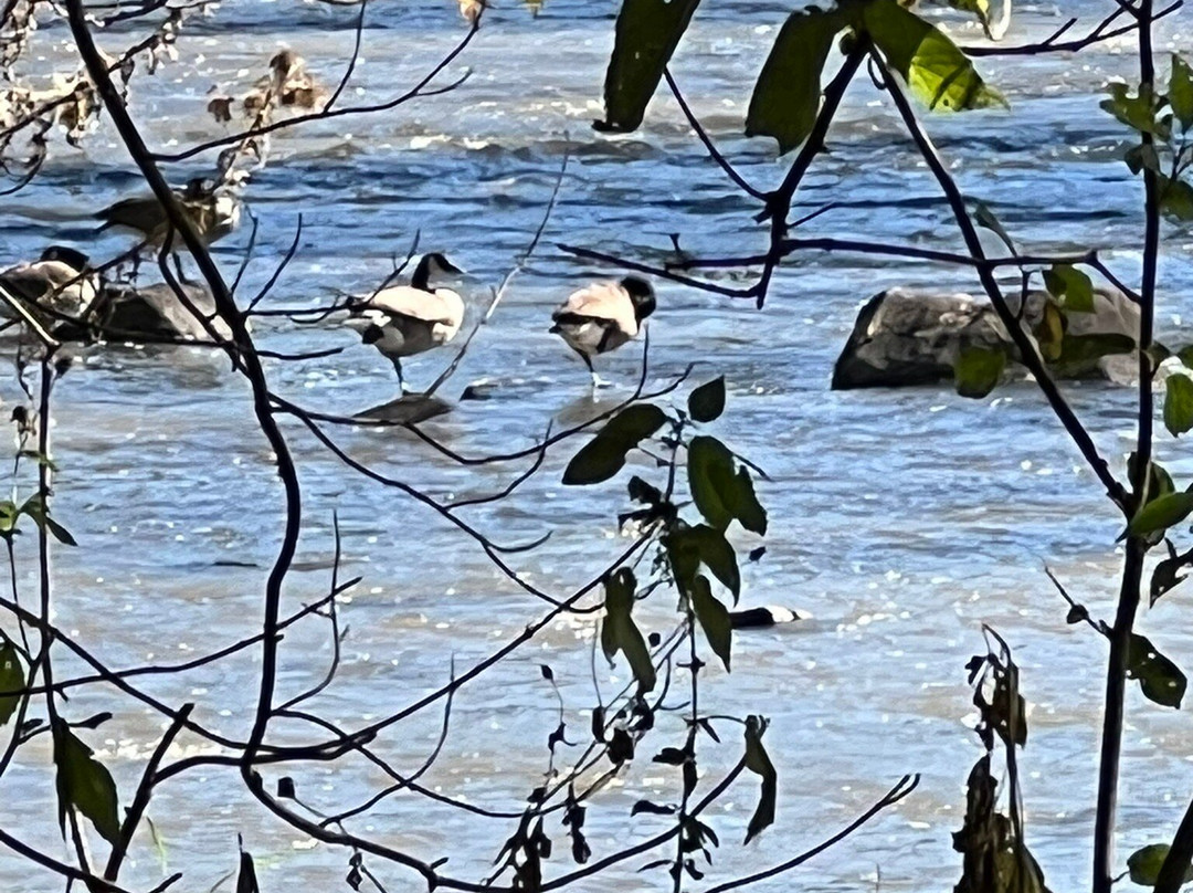 Baraboo Riverwalk-巴拉布必去景点