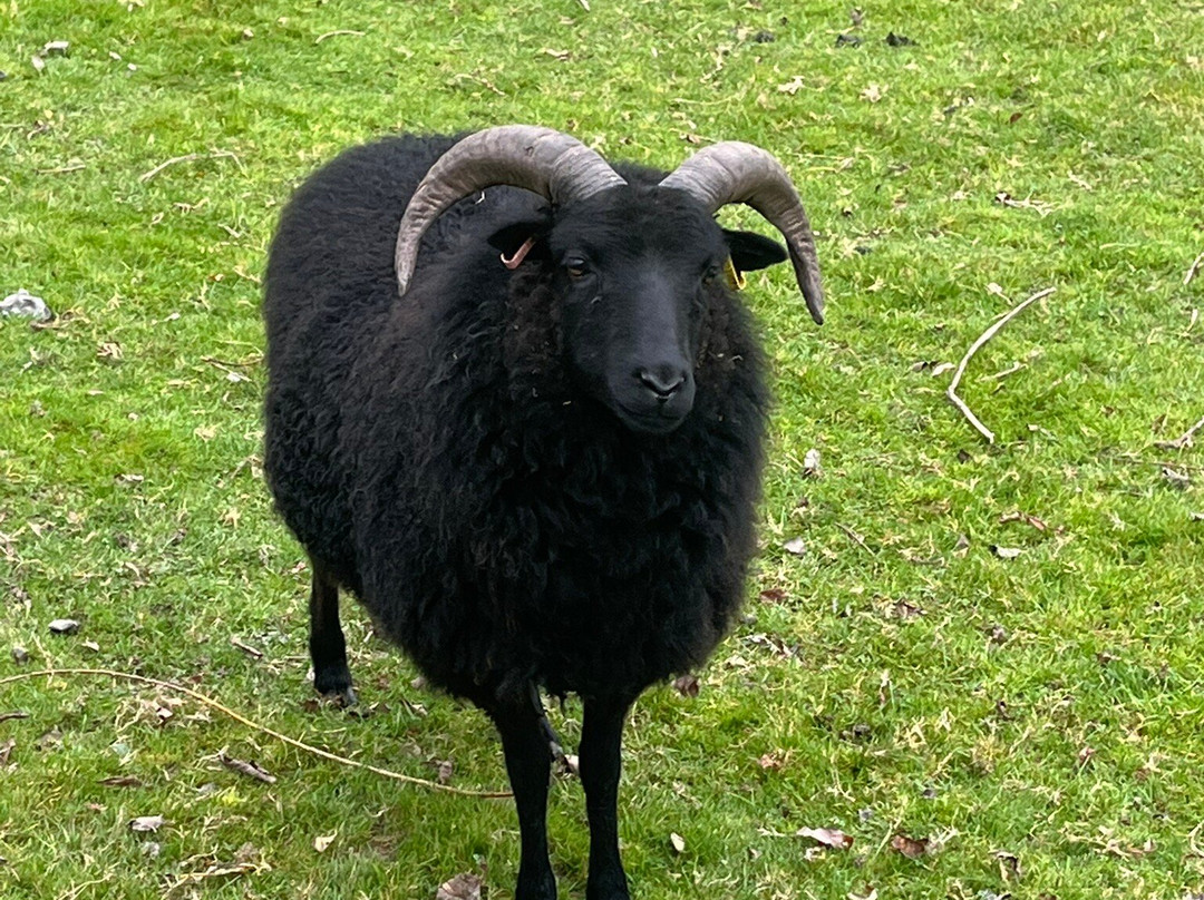 The Lake District Wildlife Park-Bassenthwaite必去景点