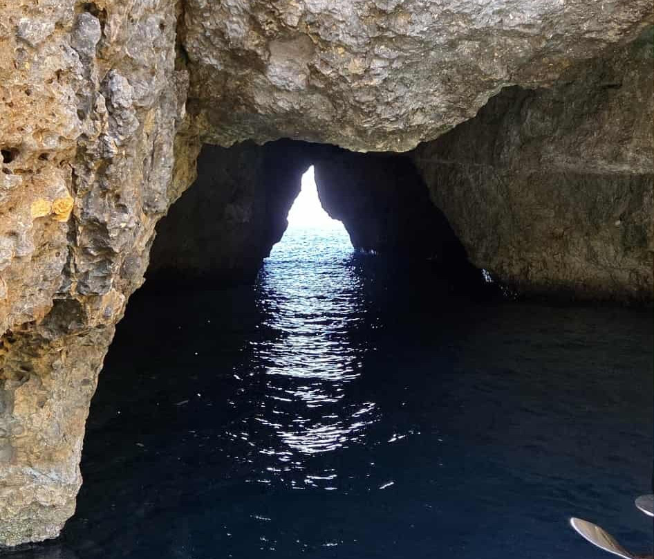 Comino Waves Boat Charters Malta-史克华必去景点