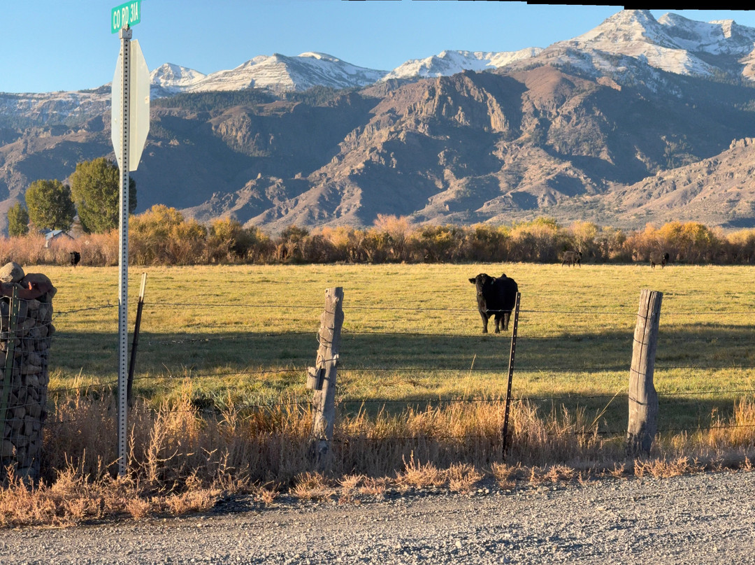 Cockrell's High Desert Lodging主图