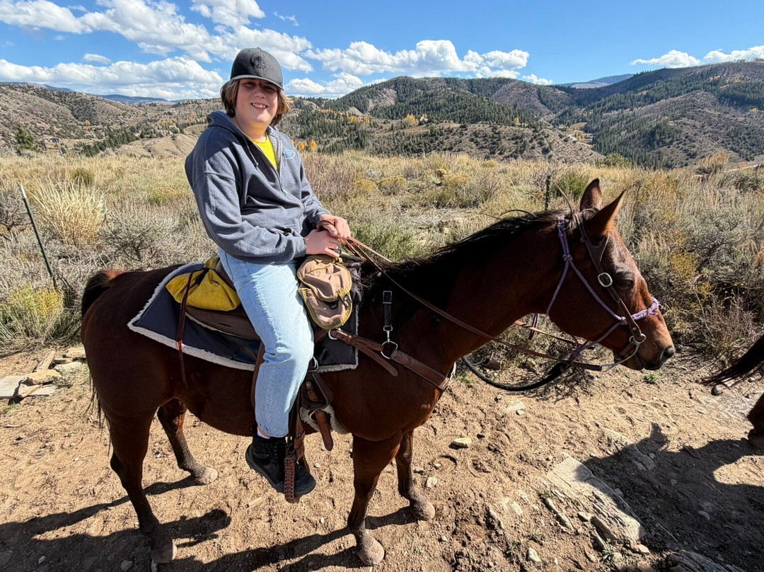 Bearcat Stables-Edwards必去景点