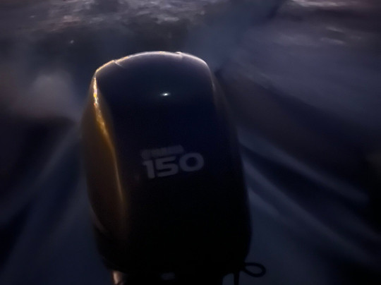 Madeira Sight Casting-沙尔必去景点