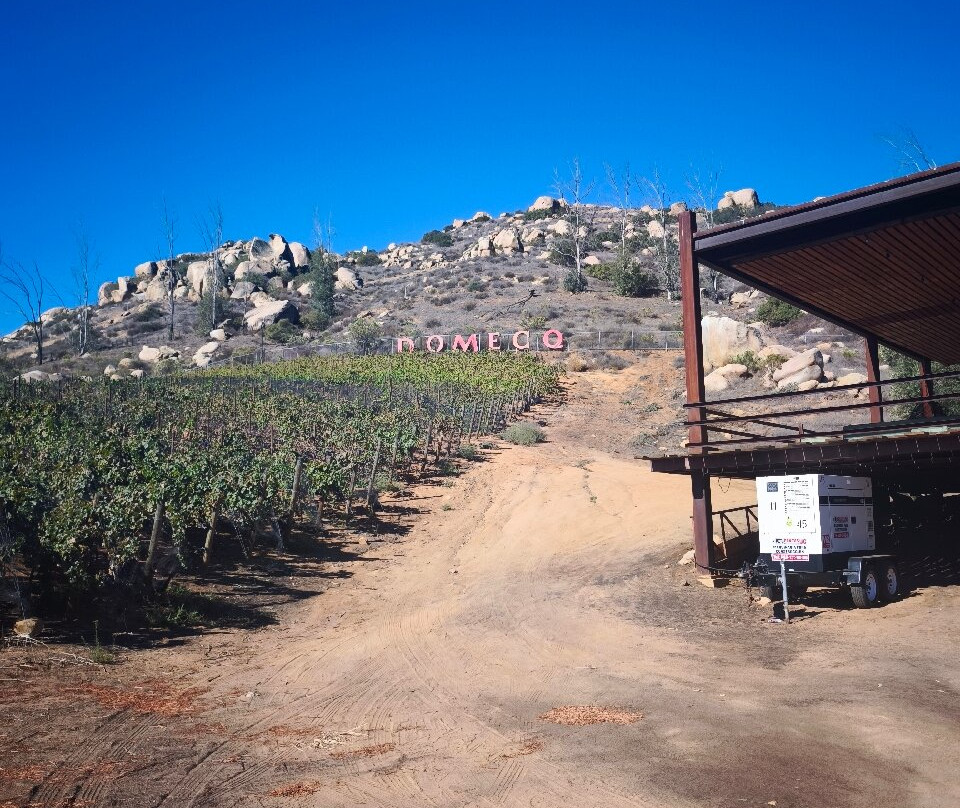 Bodegas Domecq-恩塞纳达必去景点