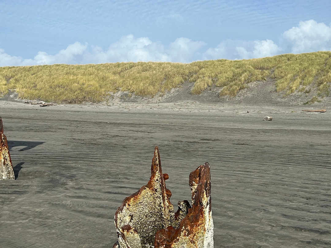 Peter Iredale Ship Wreck-Warrenton必去景点