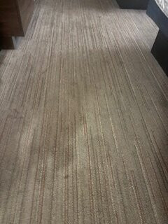 杨克斯希尔顿恒庭旅馆&套房酒店主图