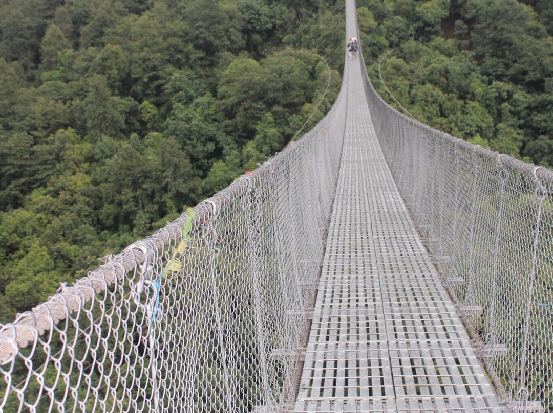 Rani Jhula-纳加阔特必去景点