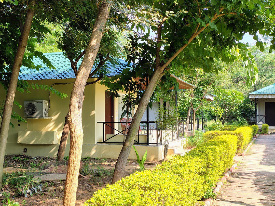 Sariska Tiger Heaven主图