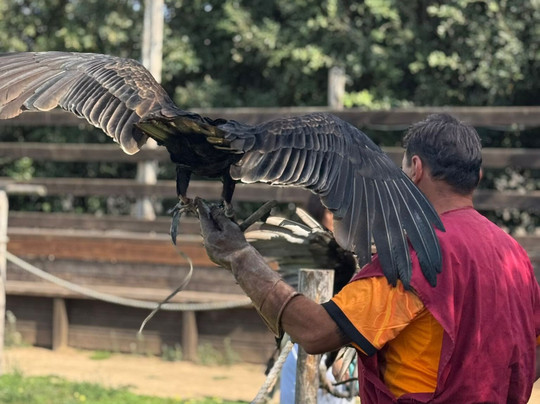 Roma World-罗马必去景点