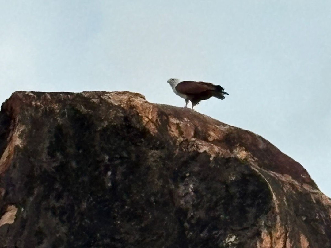 Red Earth Gokarna主图