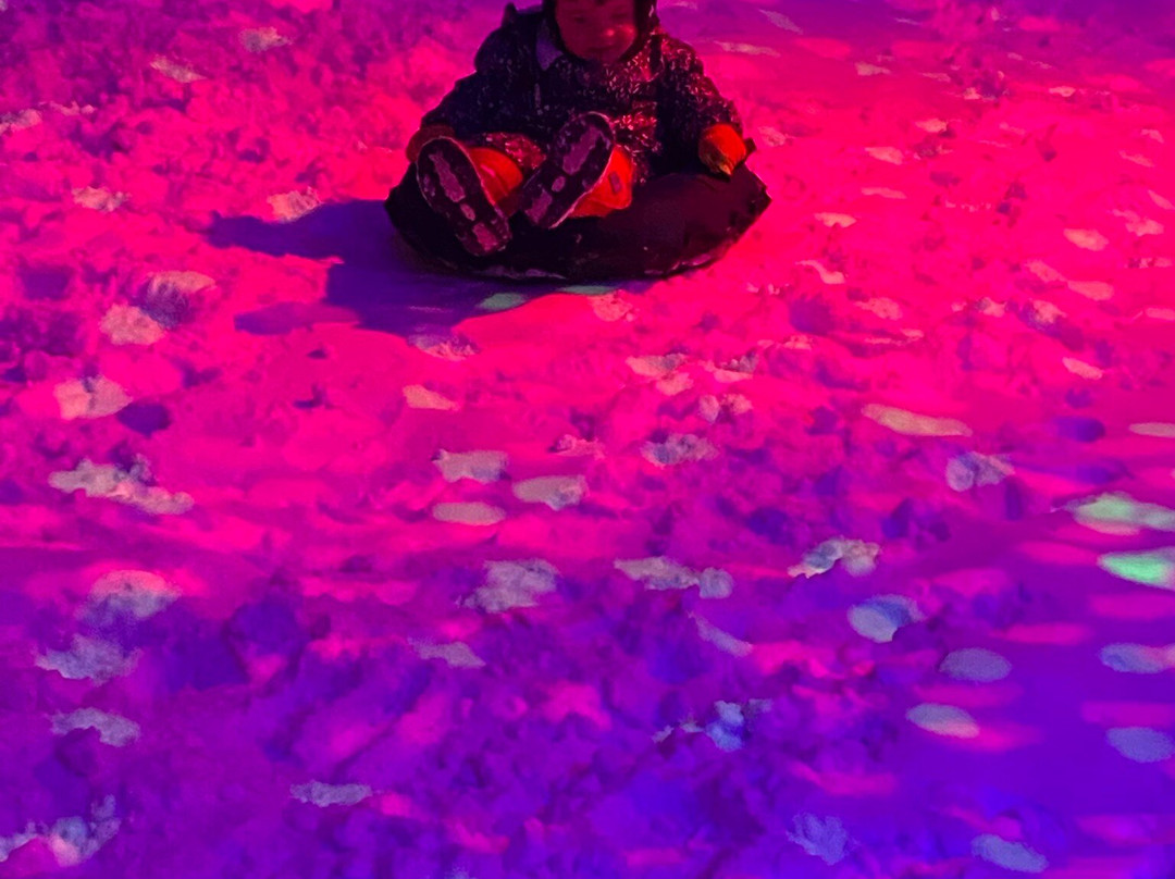 SnowDome-塔姆沃思必去景点