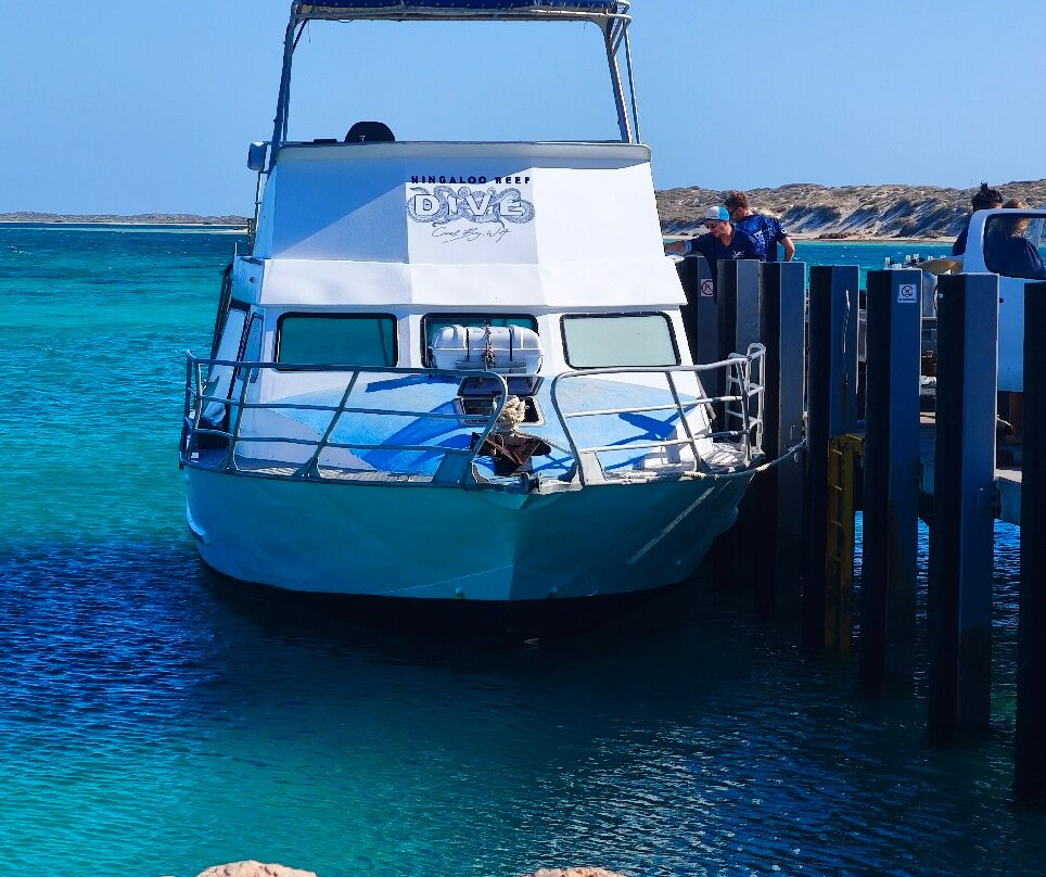 Ningaloo Reef Dive-珊瑚湾必去景点