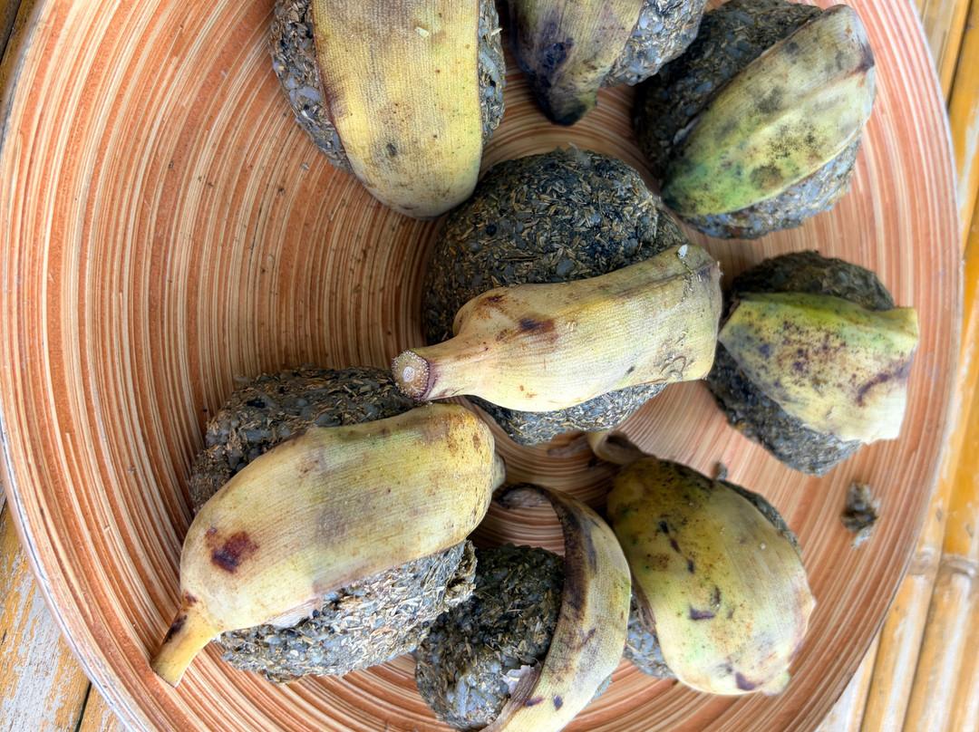 Koh Yao Elephant Beach-阁耀亚伊岛必去景点