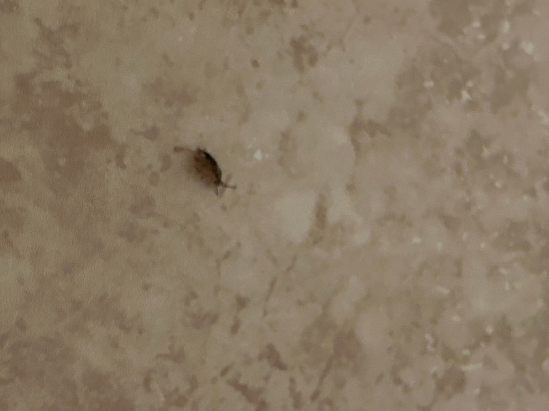 Quality Inn & Suites主图