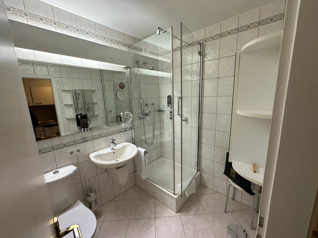 Hotel Schweizer Hof主图