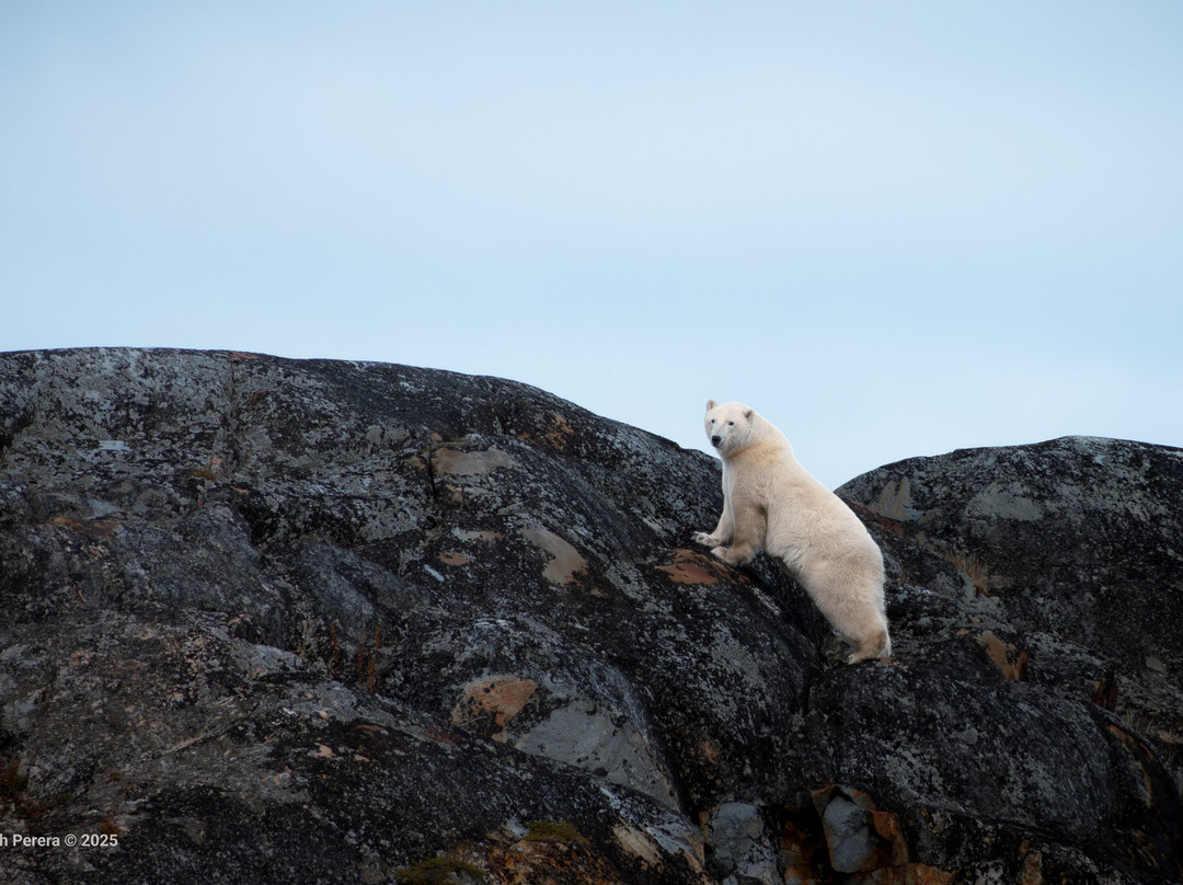 Discover Churchill Tours-丘吉尔必去景点