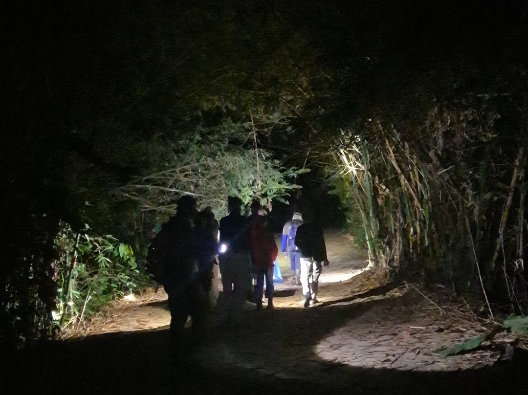 Unlock Nature-帕拉马里博必去景点