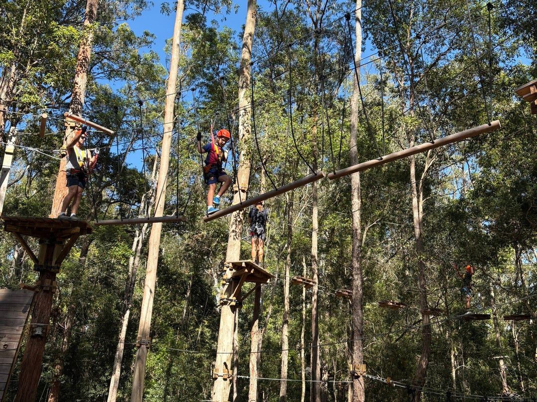 WildNets Adventure Port Macquarie-Lake Innes必去景点