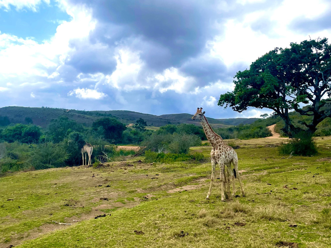 Rock the Route-克尼斯纳必去景点