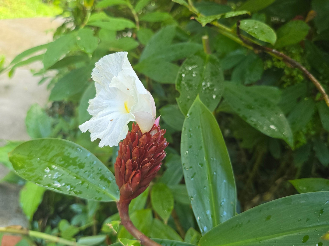 Jardin Botanique de Valombreuse-Petit-Bourg必去景点