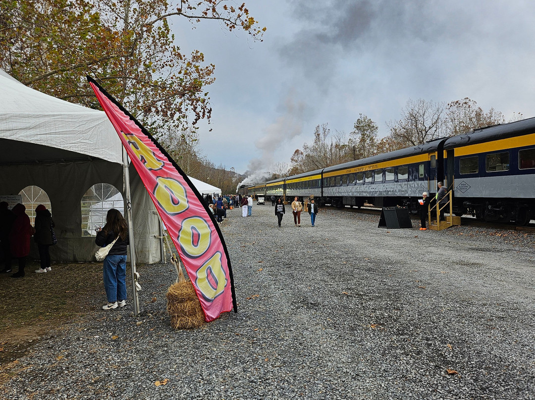 Virginia Scenic Railway-斯汤顿必去景点