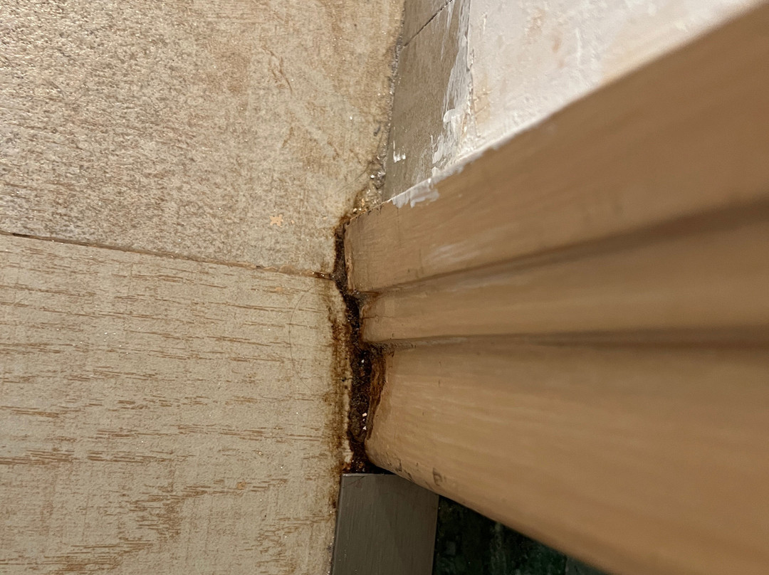 Lemon Tree Hotel, Hinjawadi, Pune主图