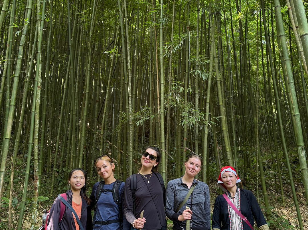 Comlam Sapa Trekking & motorbike Tours-沙巴必去景点