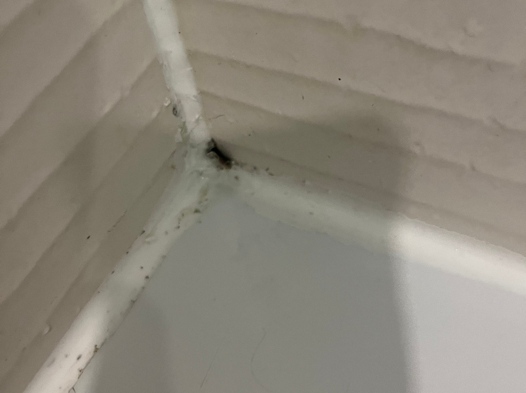 Moddershall Oaks Country Spa Retreat-Stone必去景点