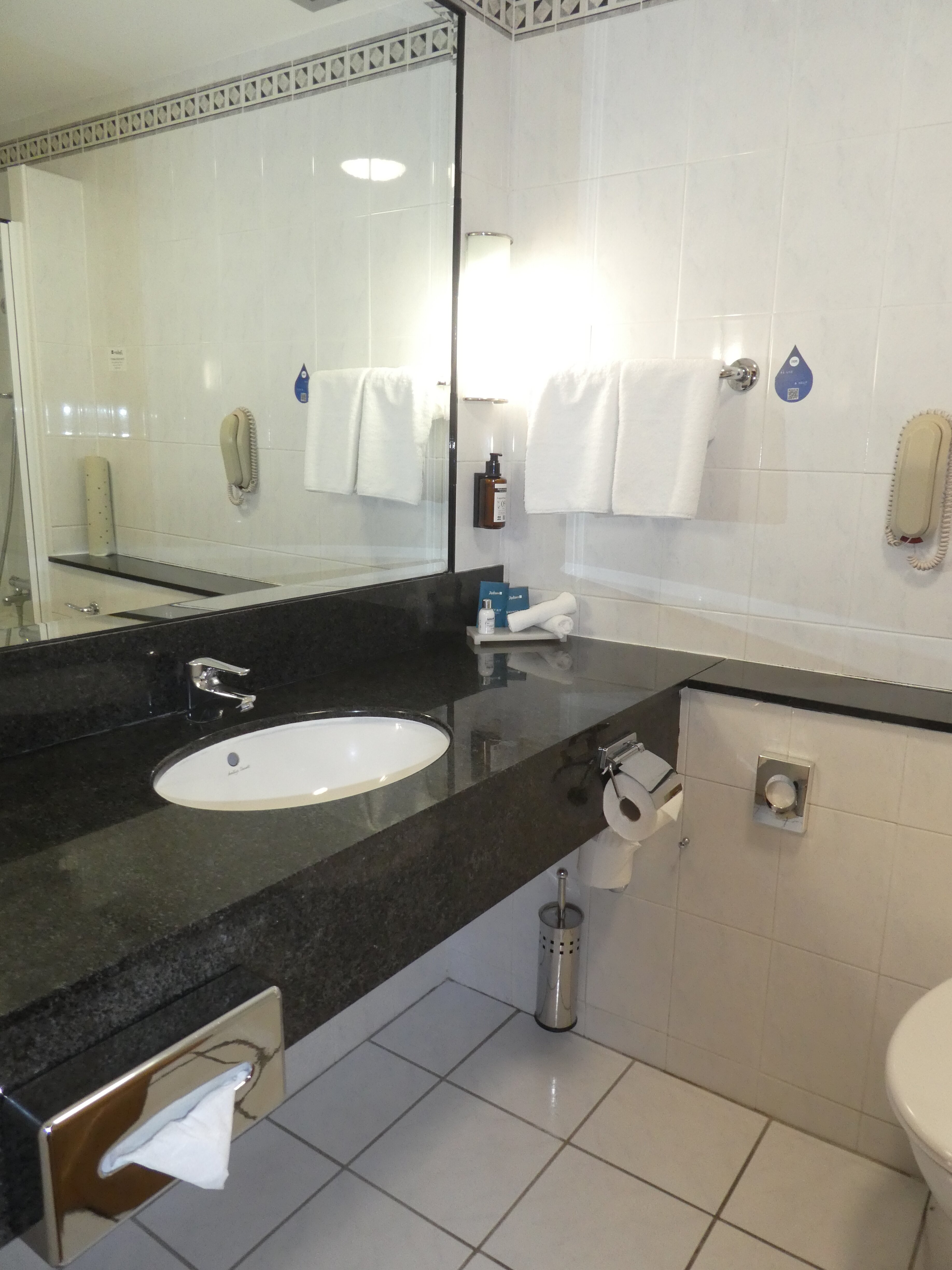 莱姆瑞克雷迪森布鲁酒店-浴室