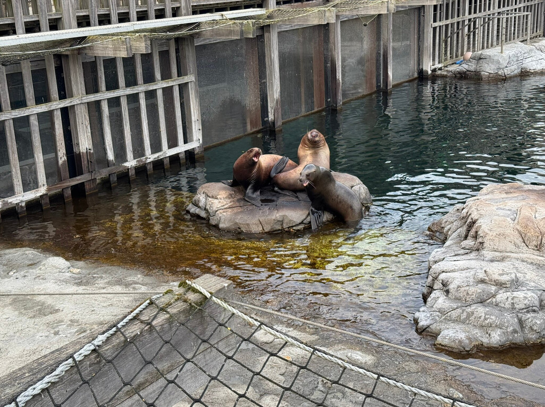 Pairi Daiza Resort主图