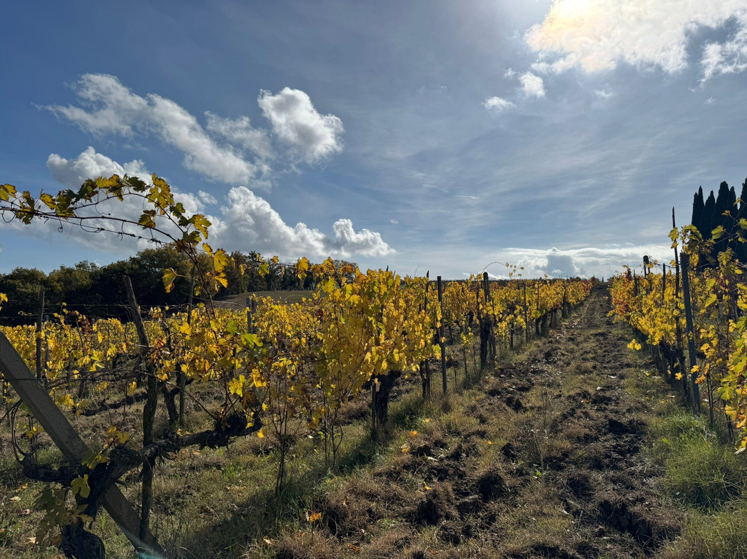 Capitoni Marco Azienda Agraria-皮恩扎必去景点