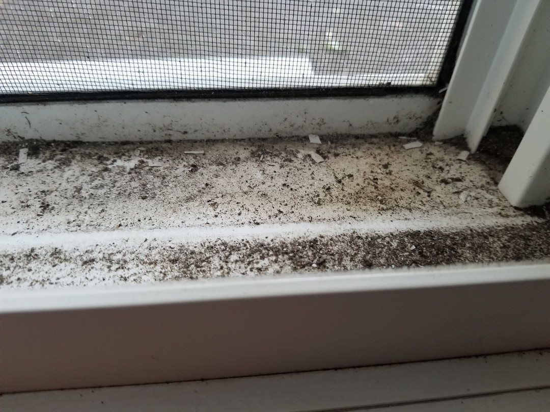 ShoreWay Acres Inn & Cape Cod Lodging主图