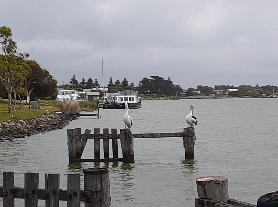 Spirit of the Coorong Cruises-Goolwa必去景点