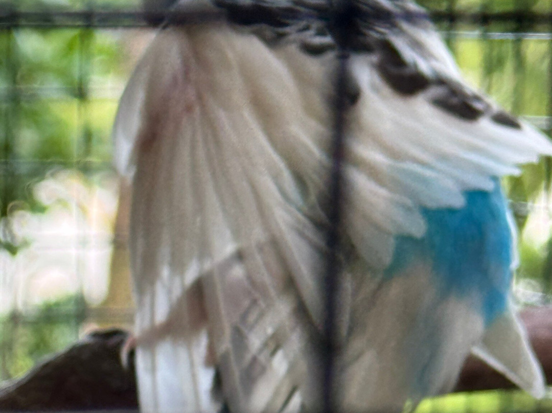 Barefoot Mailman Inn & Suites, Lantana, West Palm Beach, South Florida主图