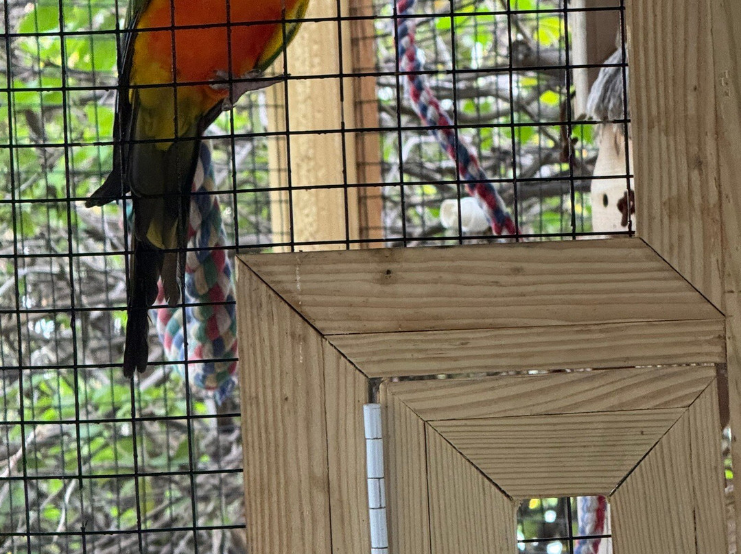 Barefoot Mailman Inn & Suites, Lantana, West Palm Beach, South Florida主图