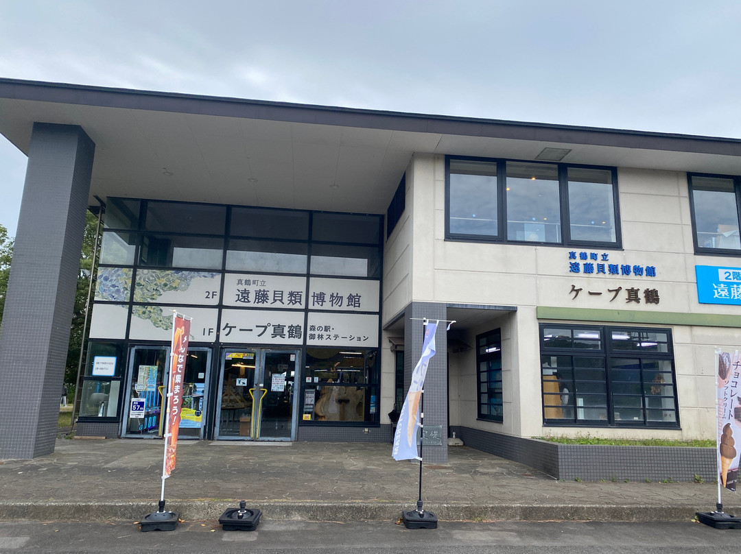 Cape Manazuru-真鹤町必去景点