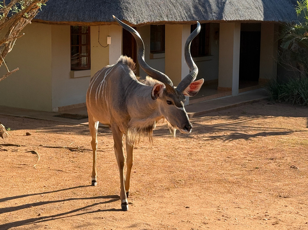 皇家克鲁格旅舍主图
