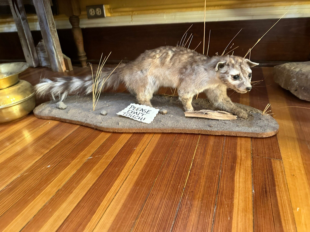 Herzstein Memorial Museum-Clayton必去景点