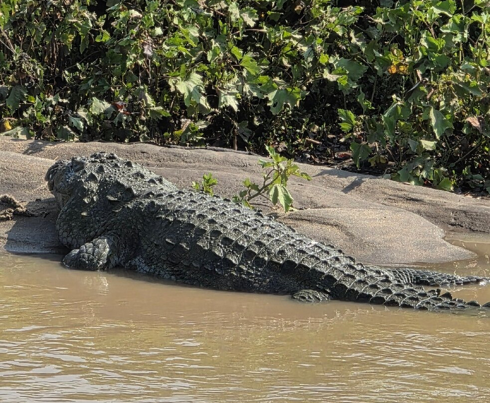 Udawalawe Safari Tours-乌达瓦拉维国家公园必去景点