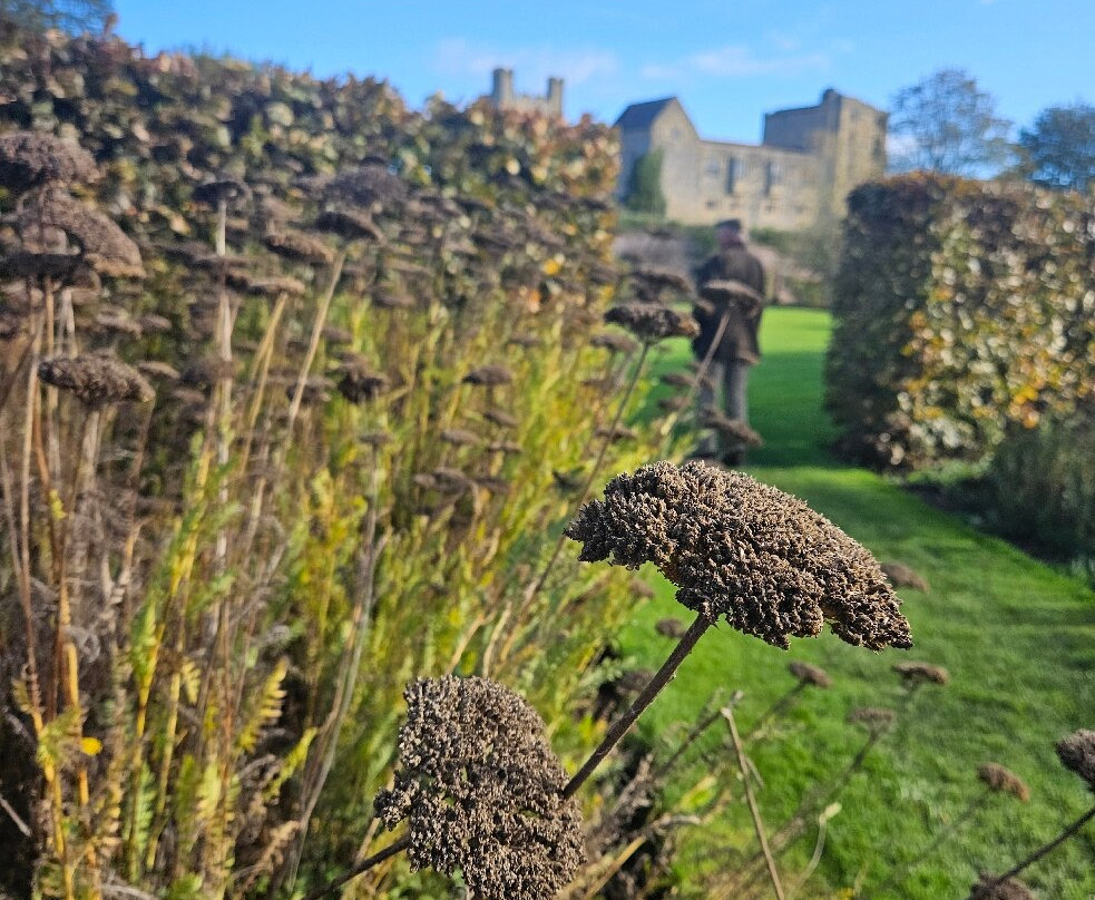 Helmsley Walled Garden-赫尔姆斯利必去景点